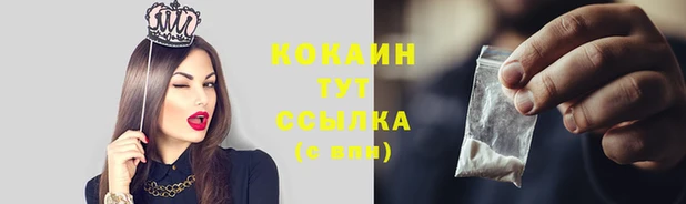 дурь Магас
